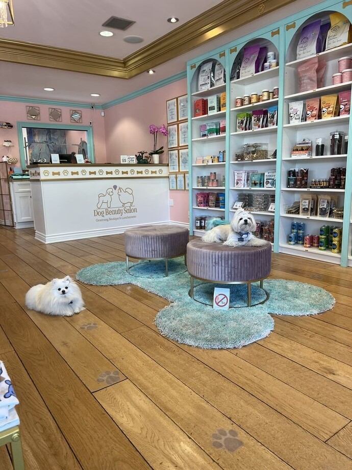 PetShoplar satın alınan evcil hayvanları daha sonra geri almıyorlar mı?