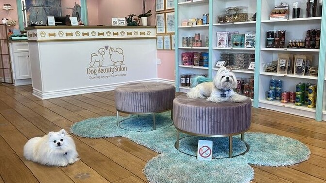PetShop'lar satın alınan evcil hayvanları daha sonra geri almıyorlar mı?