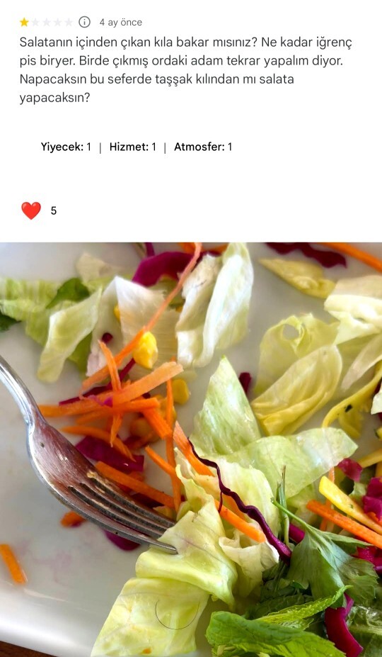 Ziyaret ettiğiniz restoran, cafe yorumlarını dikkate alır mısınız ve yorum yapar mısınız?