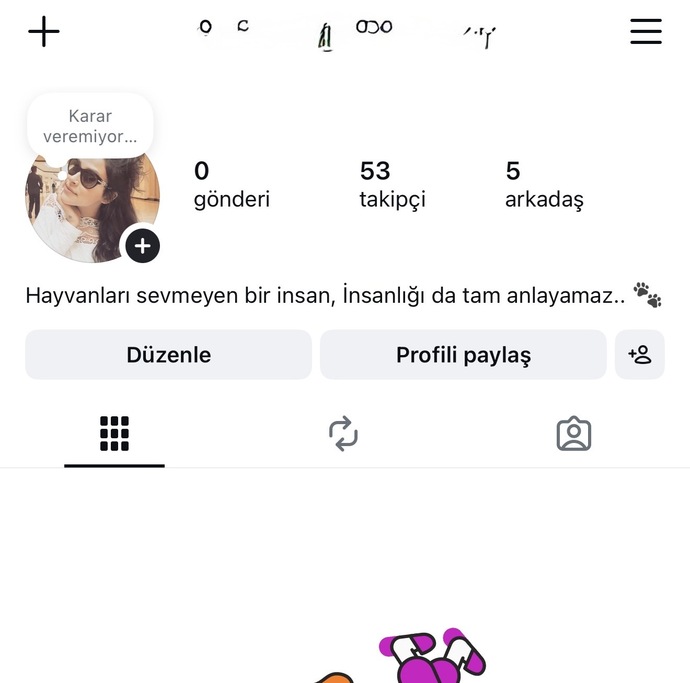 Sizce bu Instagram profilinin fake olduğu belli mi?