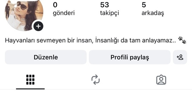 Sizce bu Instagram profilinin fake olduğu belli mi?