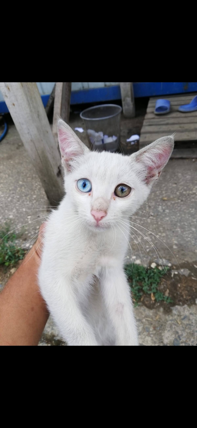 Galerinizdeki en sevdiğiniz fotoğrafı atar mısınız 📱?