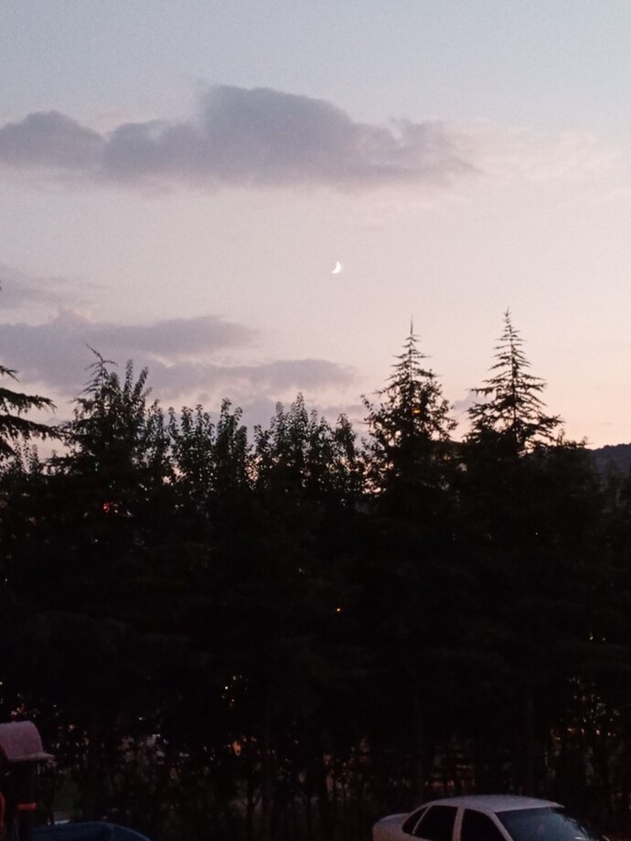 Galerinizdeki en sevdiğiniz fotoğrafı atar mısınız 📱?
