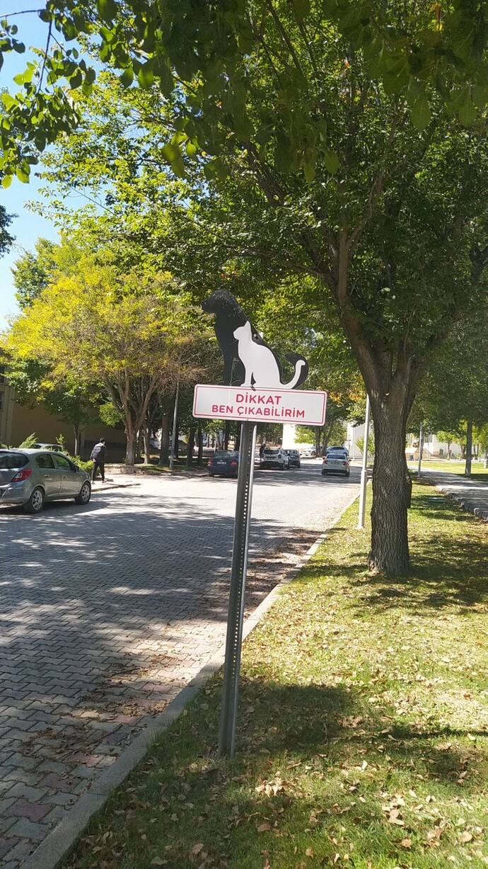 GÜNAYDINNN MİLLETT Galerini açıp bizimle güzel manzaralarını paylaşmak ister misin 😂?