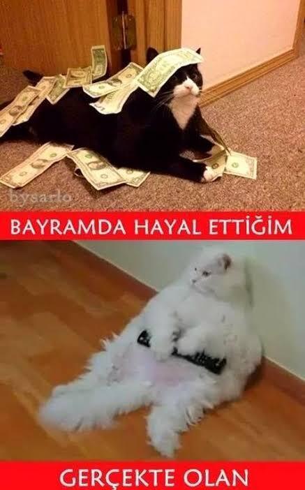 Hala bayramı kutlanmayanlar var mı arkadaşlar?