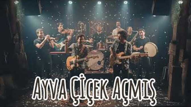 Ayva çiçek açınca yaz gelir mi?