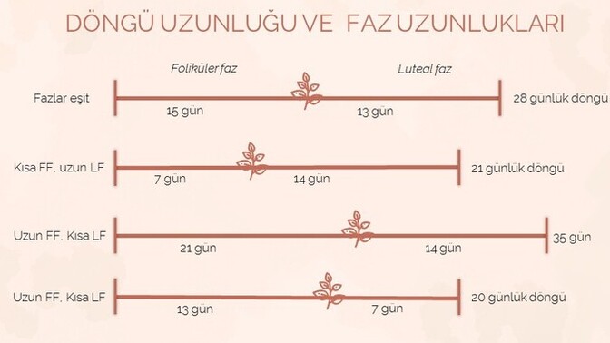 Regl döngünüz kaç gün sürüyor?