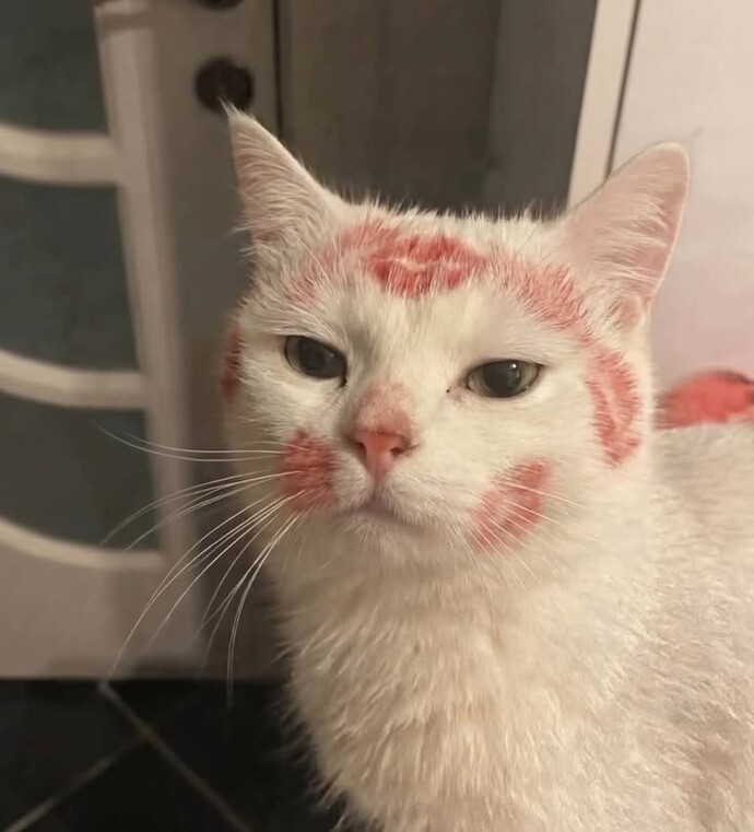 Sevgiye ihtiyacınız var mı?