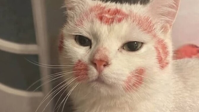 Sevgiye ihtiyacınız var mı?