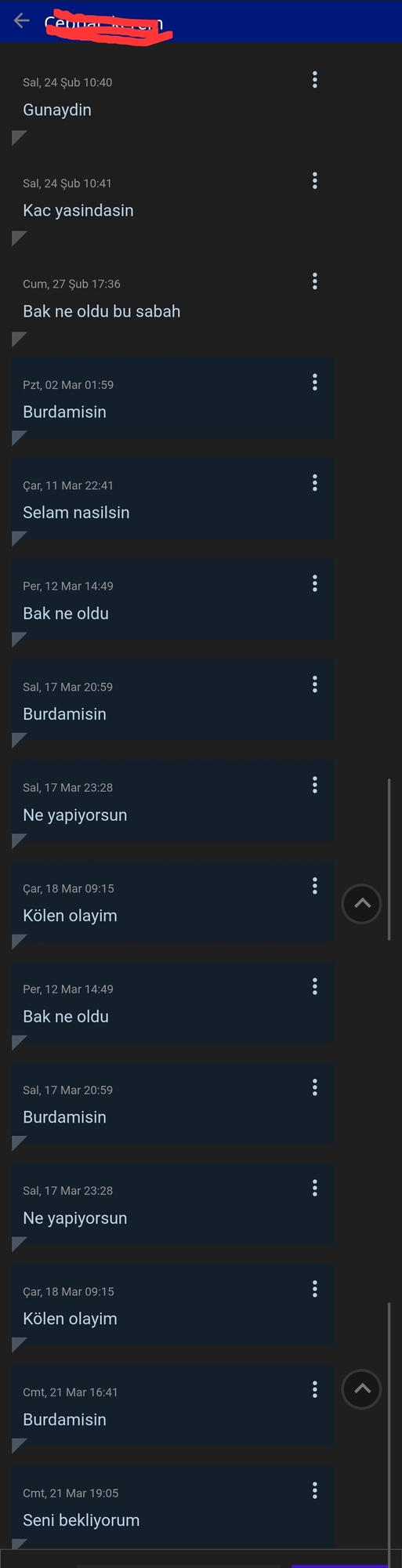 1 metrelik liste