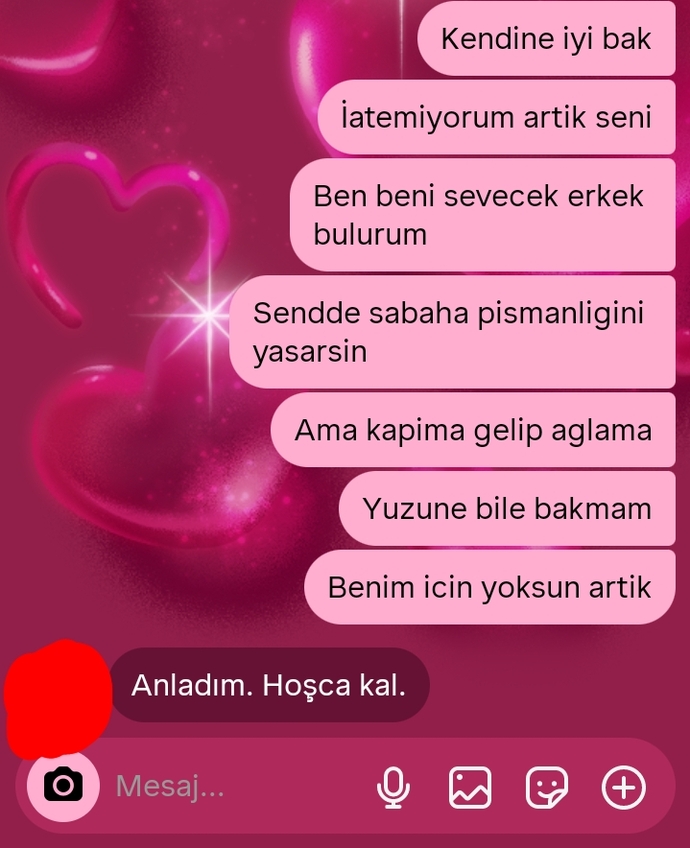 Sevgilim benim kararlarıma saygı duymadığı için ayrıldım. Haksız mıyım?