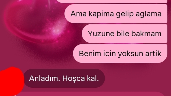 Sevgilim benim kararlarıma saygı duymadığı için ayrıldım. Haksız mıyım?