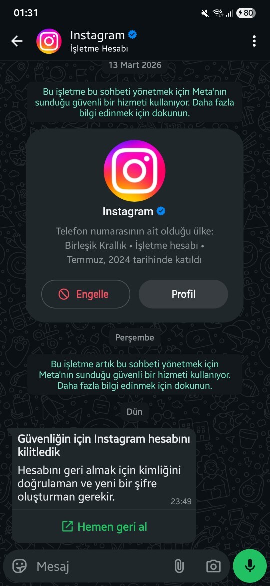 Instagram hesabım kilitlendi, şifreyi kabul etmiyor ve kimlik onay linki süresi geçmişse ne yapmalıyım?
