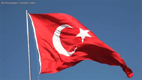 Sizce dünyanın en güzel bayrağı hangisi?