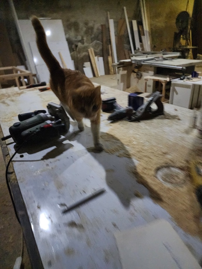 Sizin de bundan'ınız var mı ☺️❤️❤️🐱🐈?
