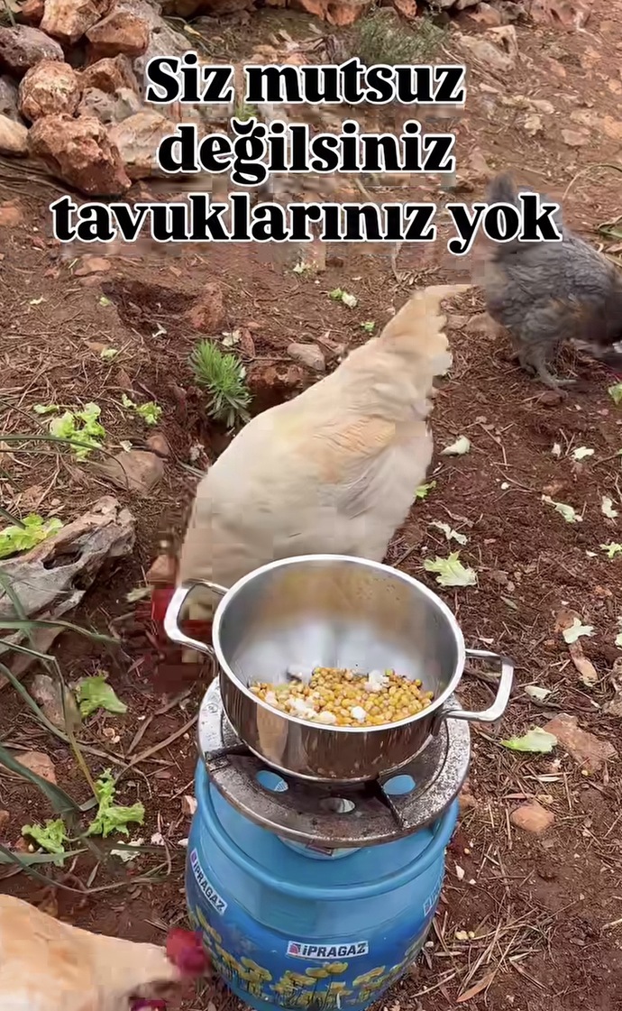 Mutluluğun formülü sizce ne?
