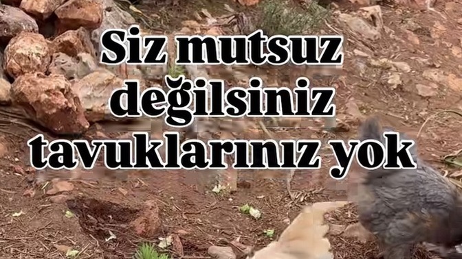 Mutluluğun formülü sizce ne?