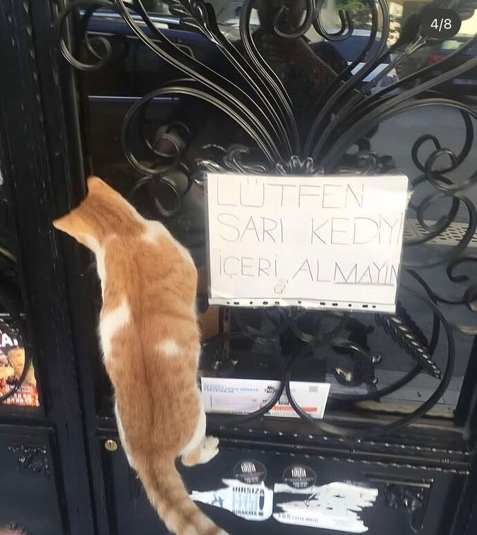 Sevgilisi olunca komple değişen arkadaşlarınız var mı, sizde de böyle mi oluyor?