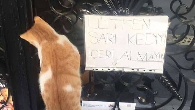 Sevgilisi olunca komple değişen arkadaşlarınız var mı, sizde de böyle mi oluyor?