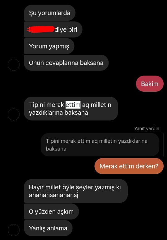 Bu konuşma normal mi, sevgilimin güzel denilen bir kızı bu şekilde merak etmesi normal mi?