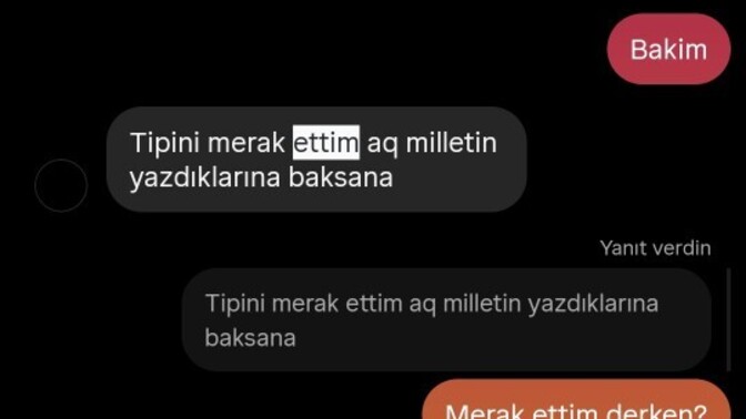 Bu konuşma normal mi, sevgilimin güzel denilen bir kızı bu şekilde merak etmesi normal mi?