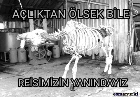 Erdoğan olmasa ülkemizin durumu İran gibi mi olurdu?