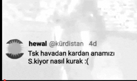 Erdoğan olmasa ülkemizin durumu İran gibi mi olurdu?