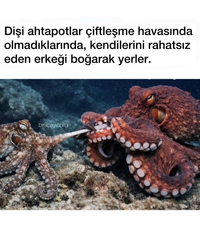😱