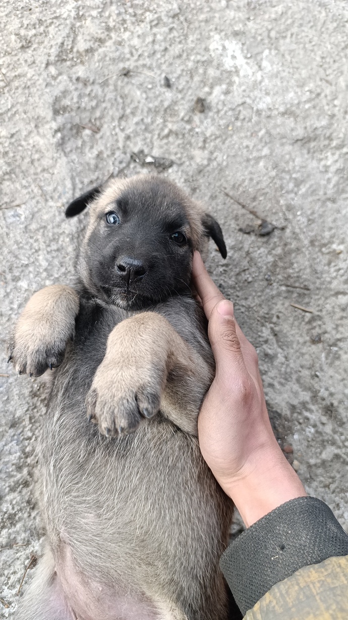 Bunu çizebilirsiniz.