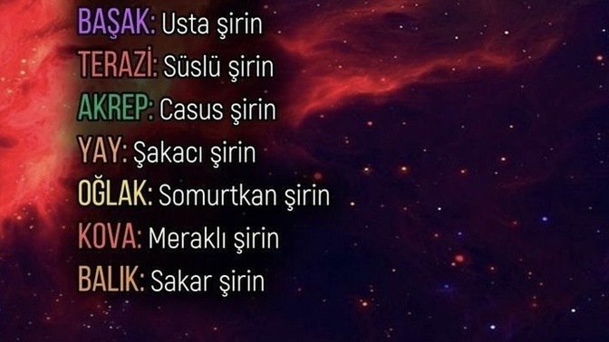 Burcuna göre hangi şirinsin?