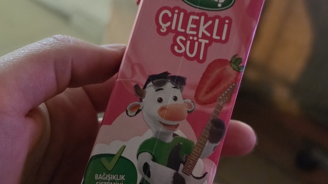 Çilekli süt mü sade süt mü daha iyi, siz hangisini ve neden tercih ediyorsunuz?