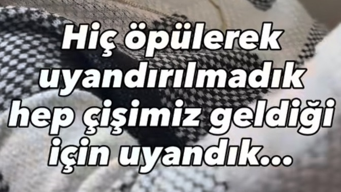 Herkesin kurduğu bi hayal illaki vardır seninki nedir?