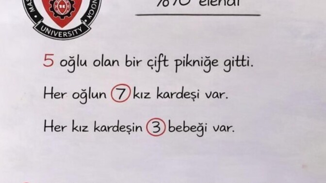 Pikniğe kaç kişi gitti sorusunu nasıl çözebilirim, mantığı nedir?