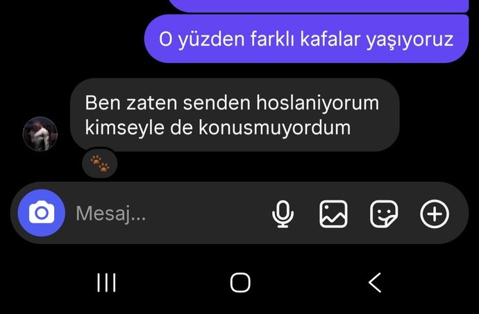 Kocaman bir yalann