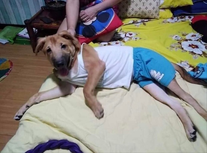 Misafirliğe gittiğiniz evde, ayakların kokuyo deseler ne yapardınız?