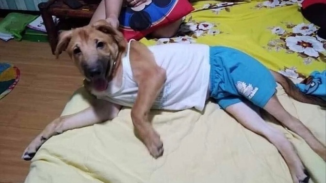 Misafirliğe gittiğiniz evde, ayakların kokuyo deseler ne yapardınız?