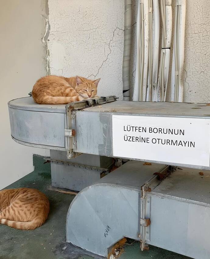 Kurallara uyar mısınız en son hangi kuralı çiğnediniz?