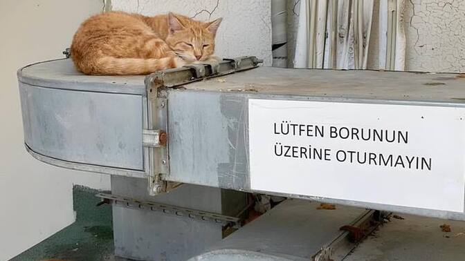 Kurallara uyar mısınız en son hangi kuralı çiğnediniz?