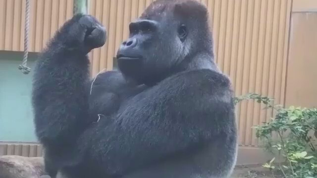 Büyüdüğünüzü nasıl anladınız?