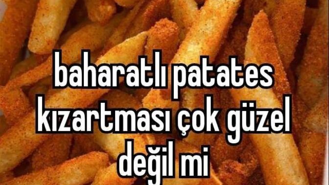 Patates kızartmasına baharat ya da sos ekler misiniz, nasıl seversiniz?