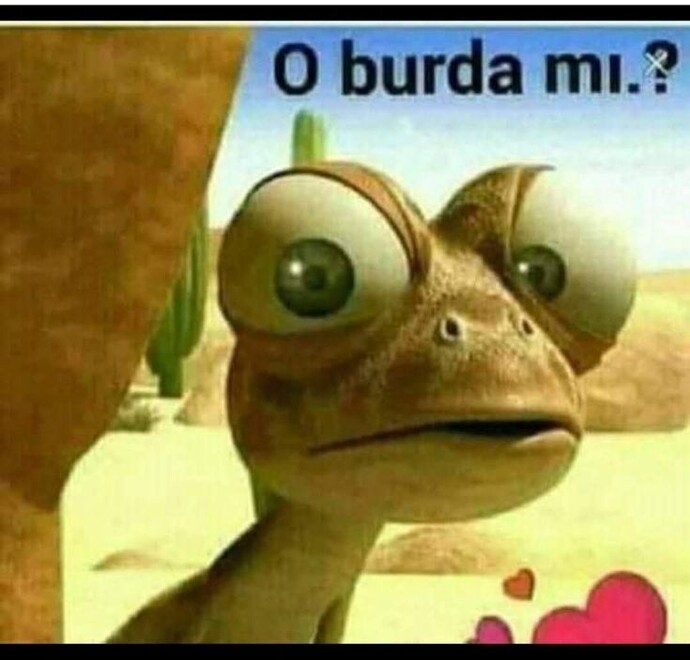 O hayırsız burada mı?
