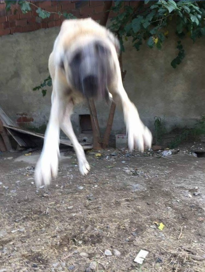 1 kilo pilav yedim midemi nasıl rahatlatabilirim?