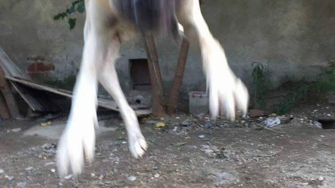 1 kilo pilav yedim midemi nasıl rahatlatabilirim?