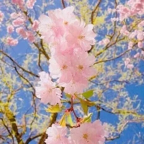 İyi akşamlar 🥰🥰 sizi en çok kim anlar?