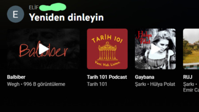 Ne tarz dinlersin sorularına net cevap verebilir miniz?