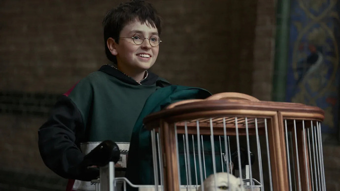 Harry Potter Dizisinden İlk Fragman: Aralıkta Başlıyor?