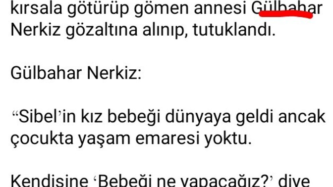 Feminist örgütler neden anne cinayetleri ve kadınların işlediği kadın cinayetlerine sessiz kalıyor?