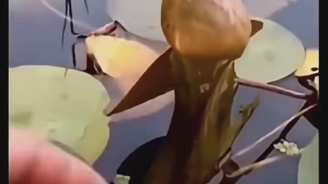 Ne zaman gelecek bu güzel günler bilen, var mı?