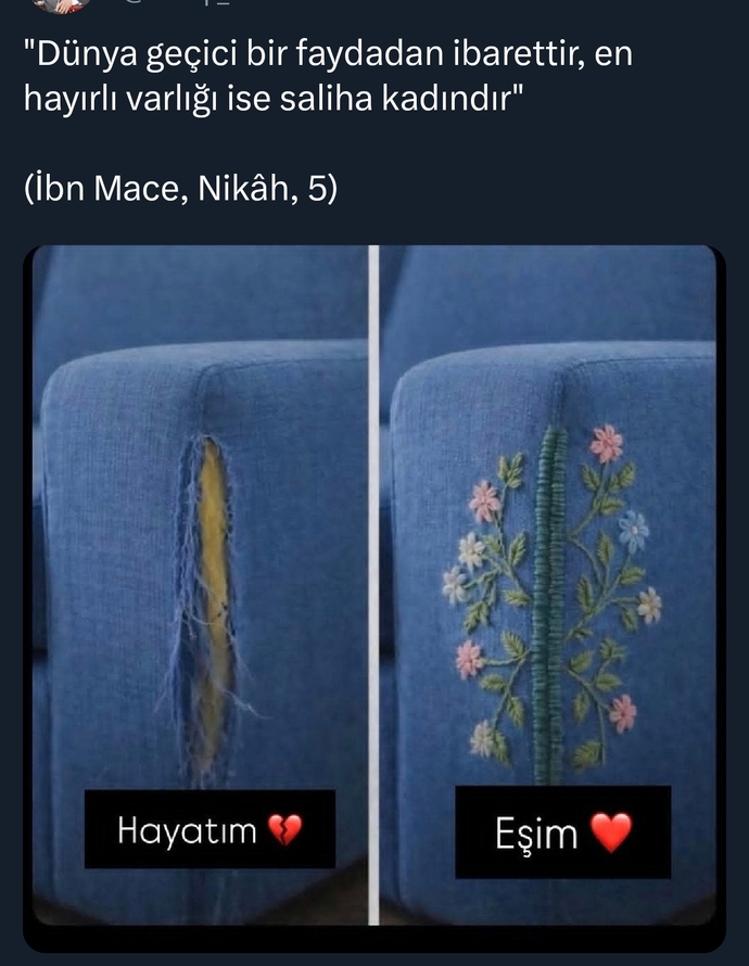Harap olmuş hayatıma dokunarak çiçeklendirecek hatunu nerde bulabilirim?