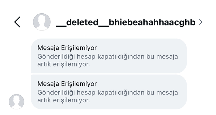 Instagram hesabımı kapatırsam DM mesajlarım karşı taraftan tamamen silinir mi?
